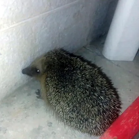 Ida In 3* Μπάρι